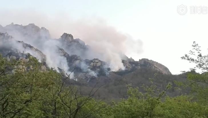小珠山火灾最新情况及应对山林火灾的步骤指南