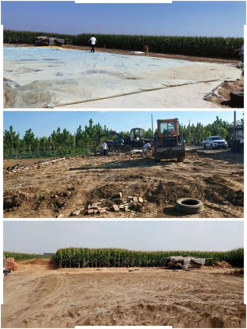 曲周最新违建问题审视与观点表达