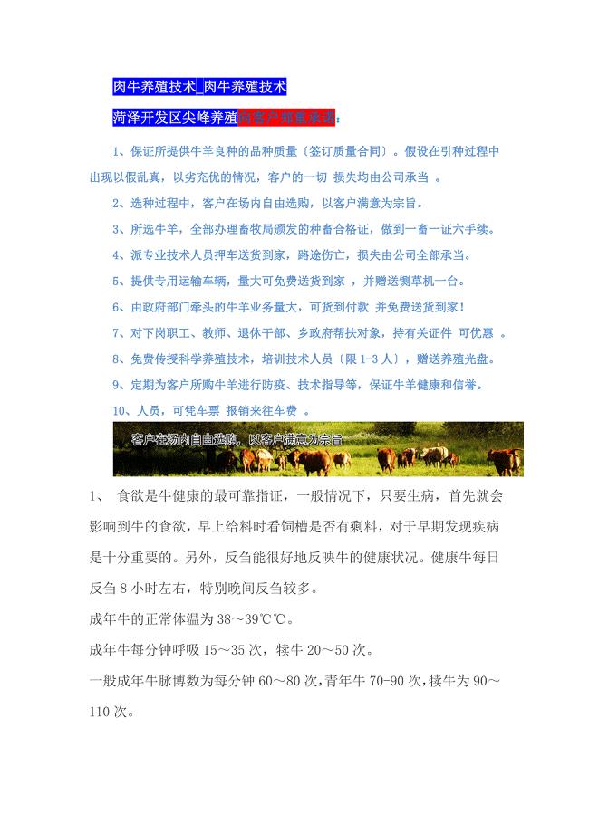 科技引领养牛新纪元，最新养牛技术培训重塑畜牧业未来