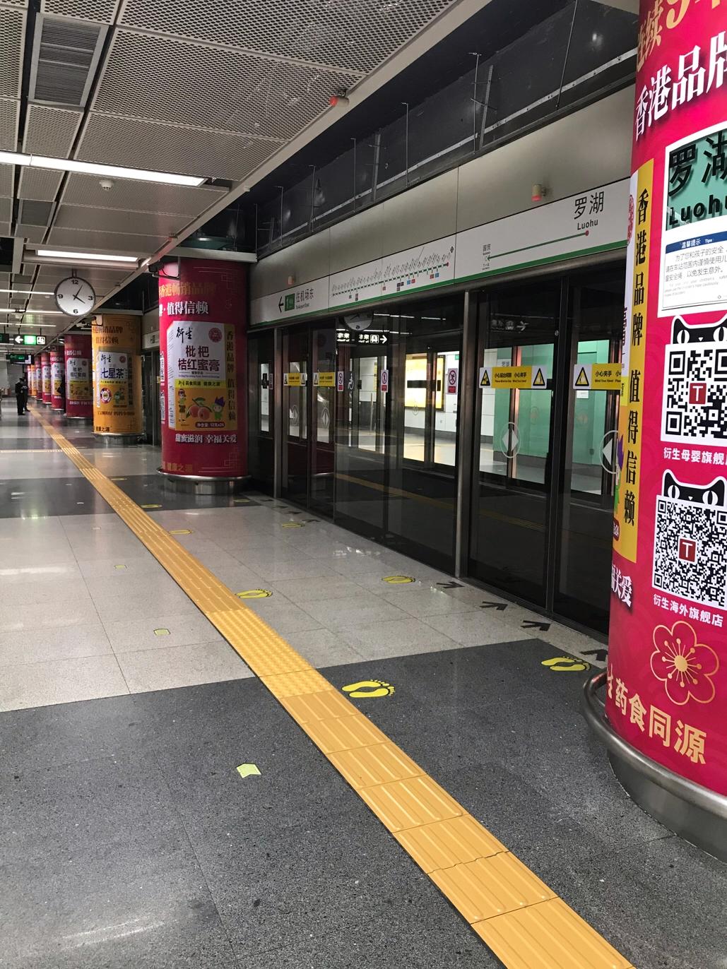 深圳疫情最新报告详解，步骤指南与最新动态更新