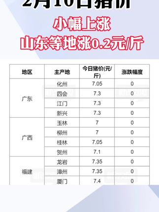 台山市最新猪价概览