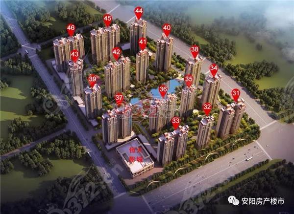 安阳君临北岸最新动态及相关观点解析