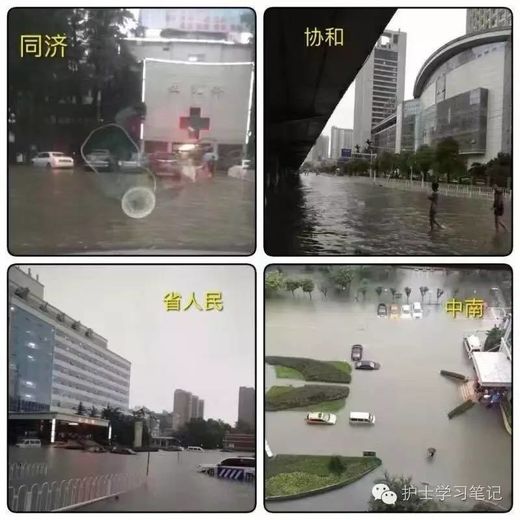 武汉洪水新进展，自然美景探索之旅等你来赴约